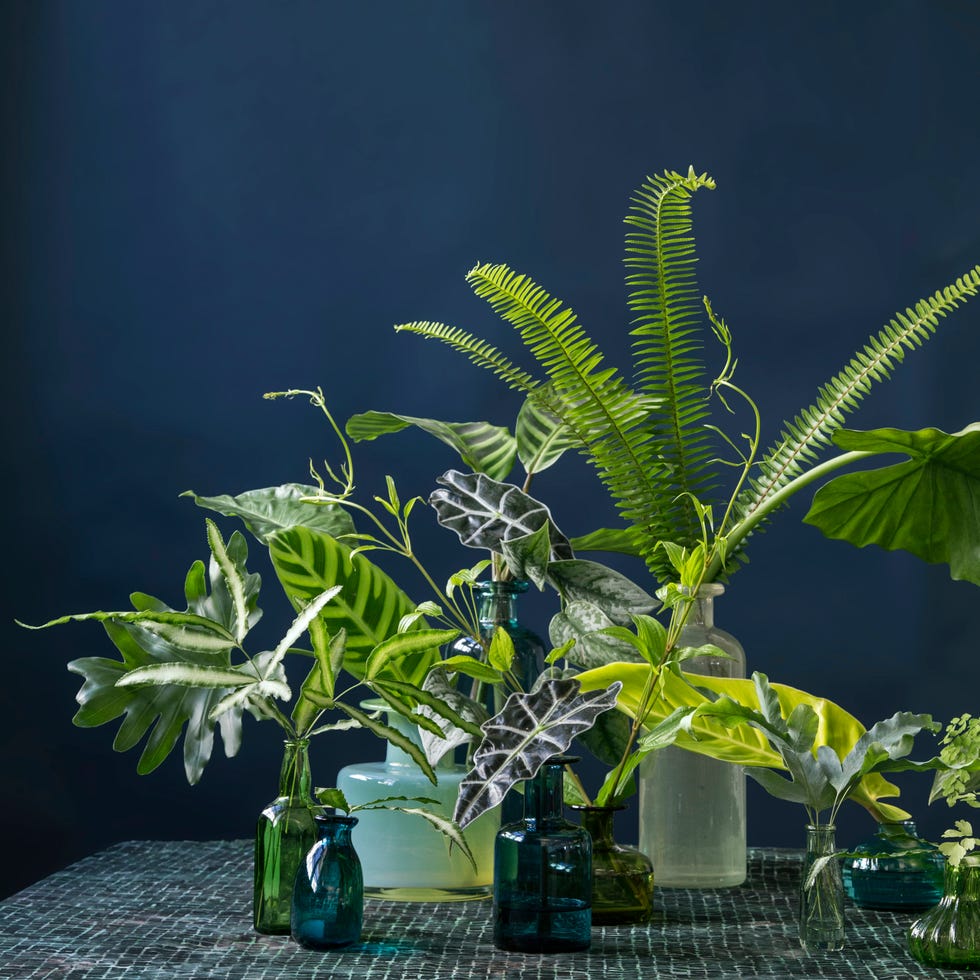 david stark design