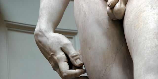 David Statue Groin and legs by Michelangelo