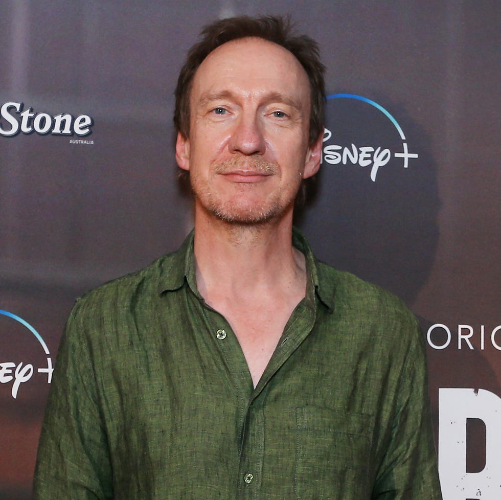 Is David Thewlis In The Harry Potter Reunion Harry Potter star joins new Sherlock Holmes show