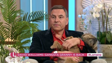 david walliams on lorraine
