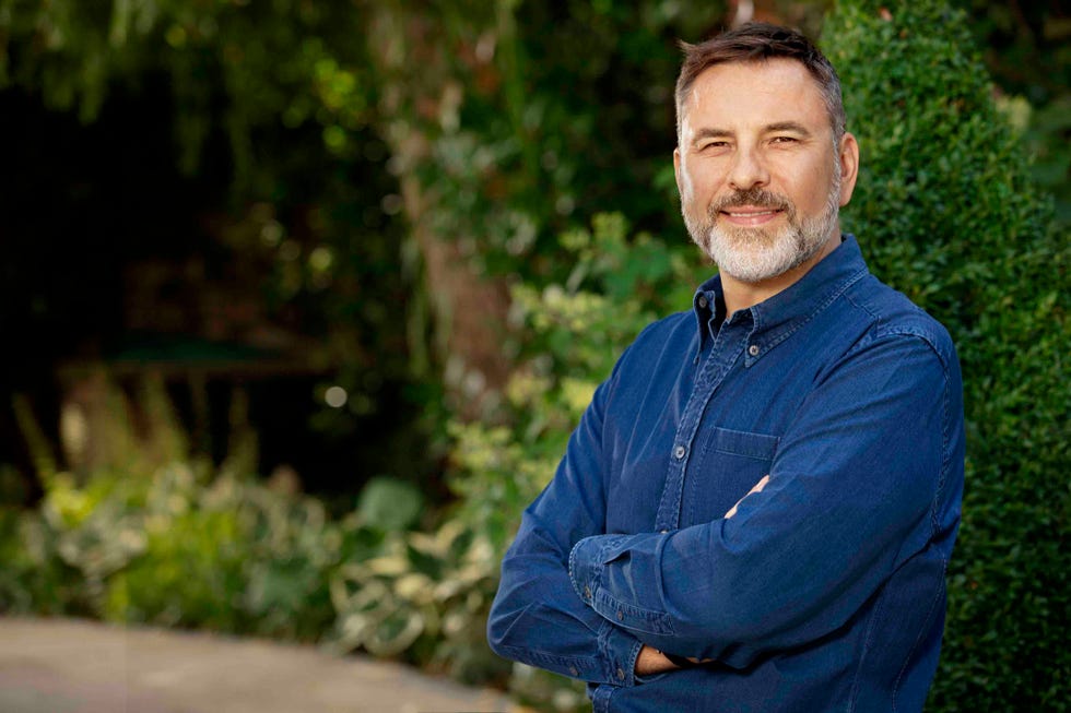 who do you think you are   david walliams