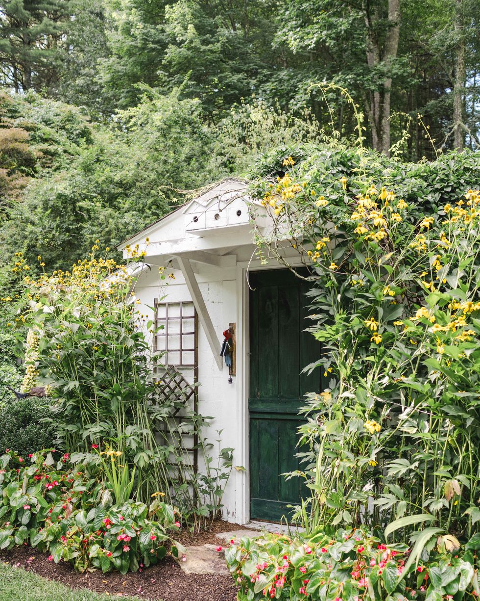rustic garden shed with green door in the middle of trees and flowers