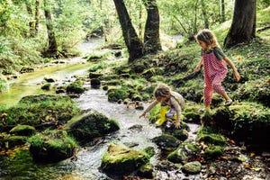 day at the river