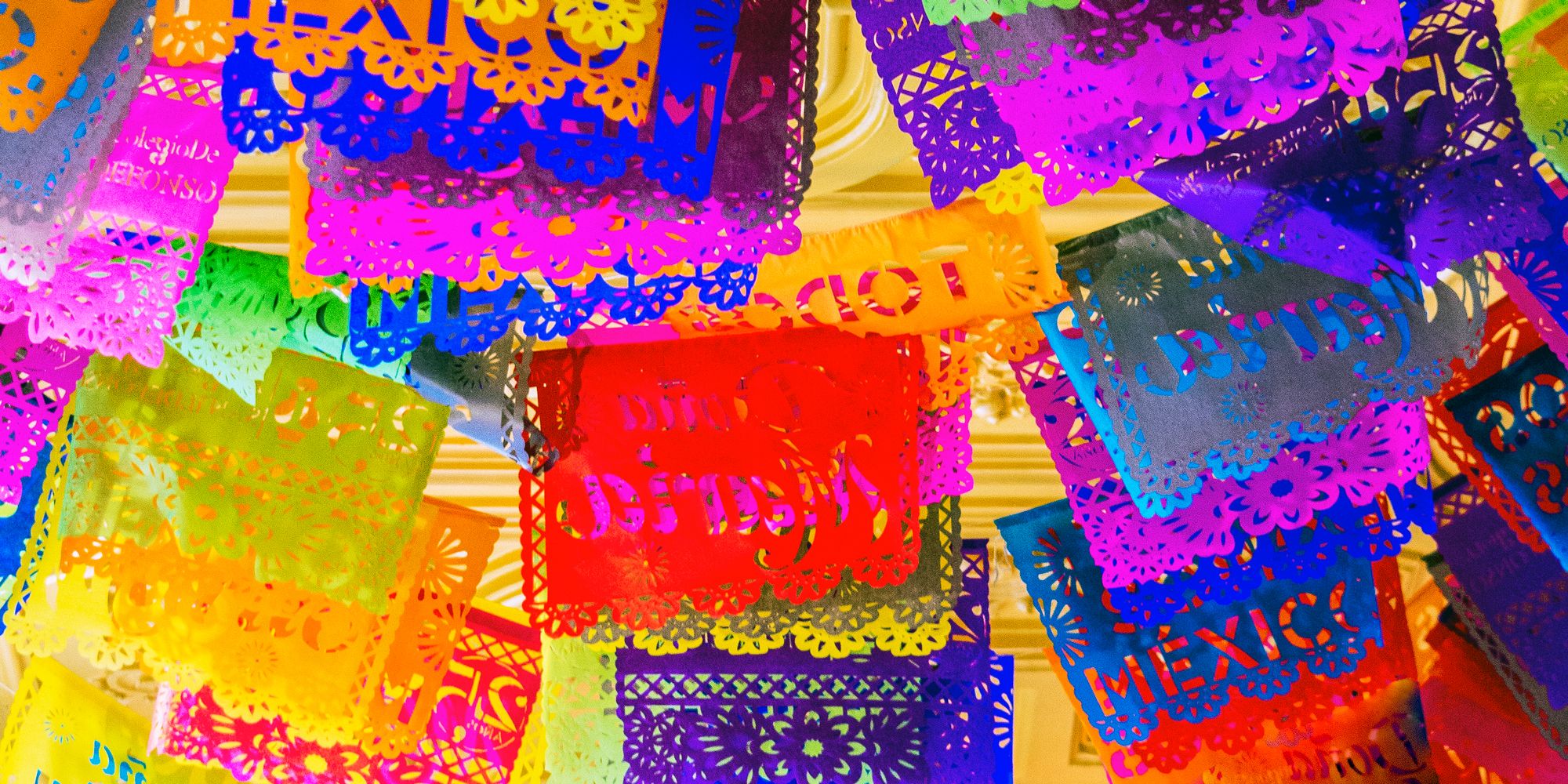 Day of the Dead Decorations, Dia De Los Muertos Party Decorations with  Banner, 20 Pcs Day of the Dead Cutouts, 8 Pcs Paper Pom Poms, Halloween  Sugar Skull Mexican Party Supplies 