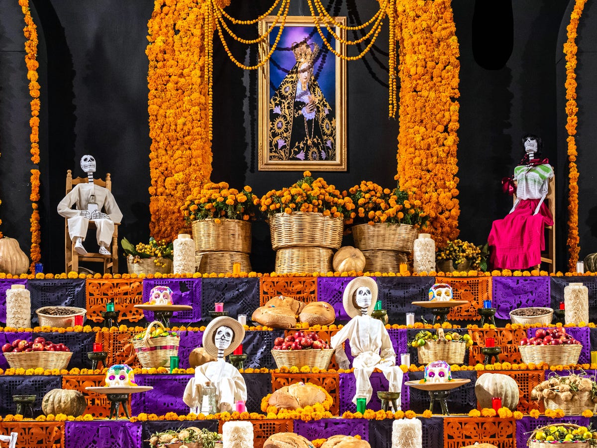 6 Day of the Dead Flowers - Día de Muertos Flower Meanings