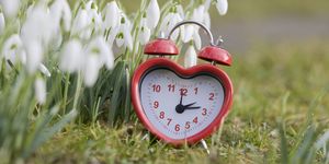 a red alarm clock is on the lawn between snowdrop
