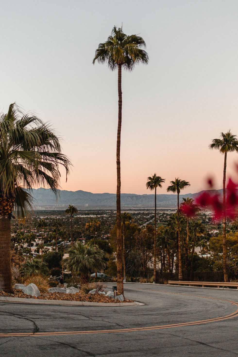 outdoor shot of palm spring california