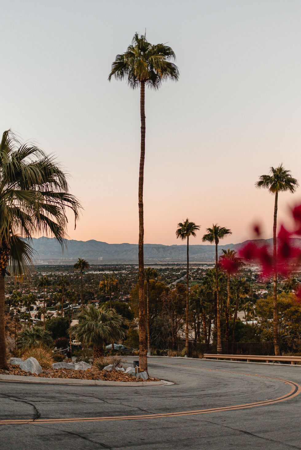 outdoor shot of palm spring california