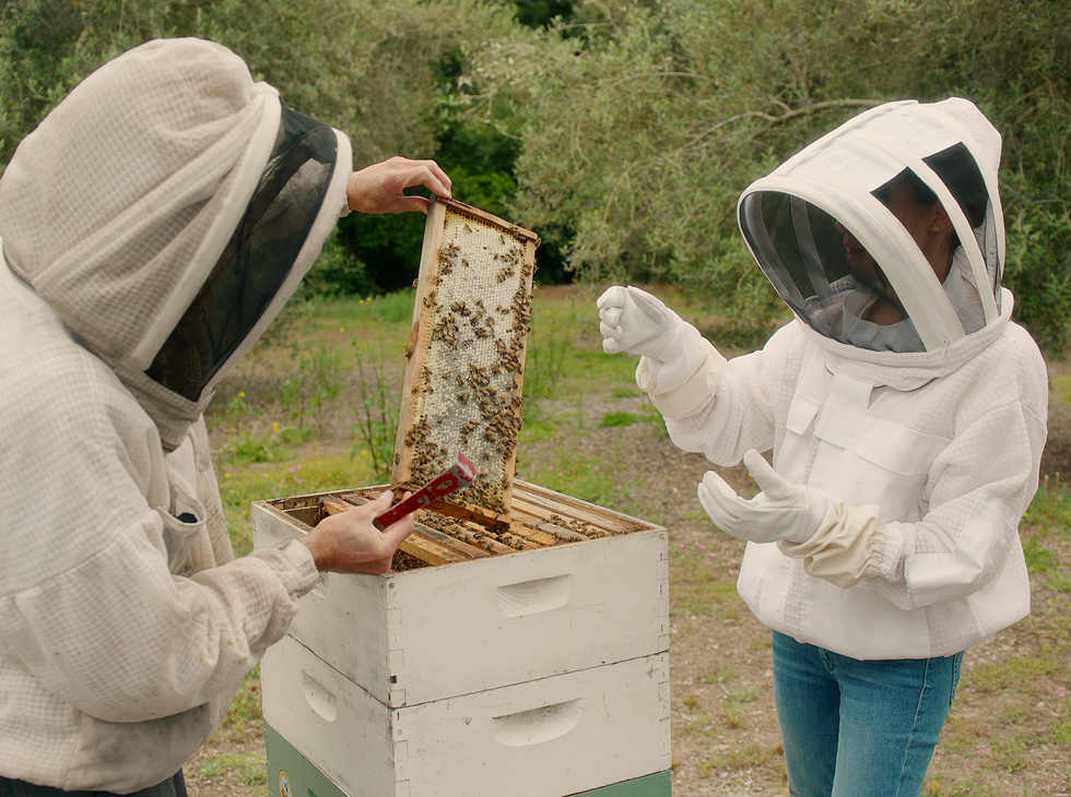 meghan markle beekeeper suit