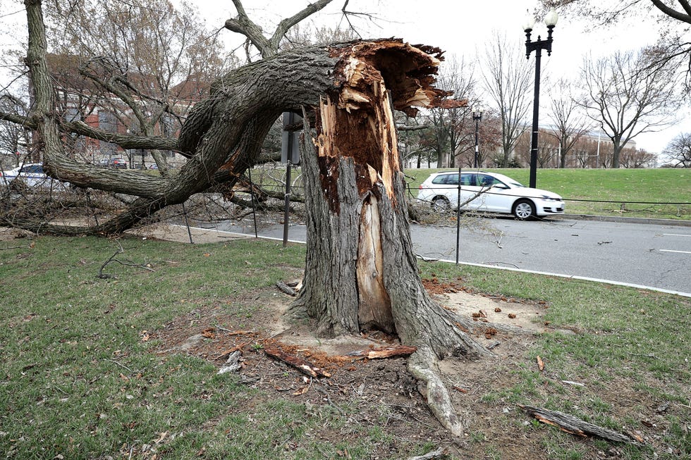 Photos of the March 2018 Nor’Easter - Winter Storm Riley