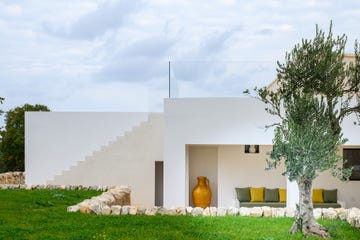 a vase sits on a tree