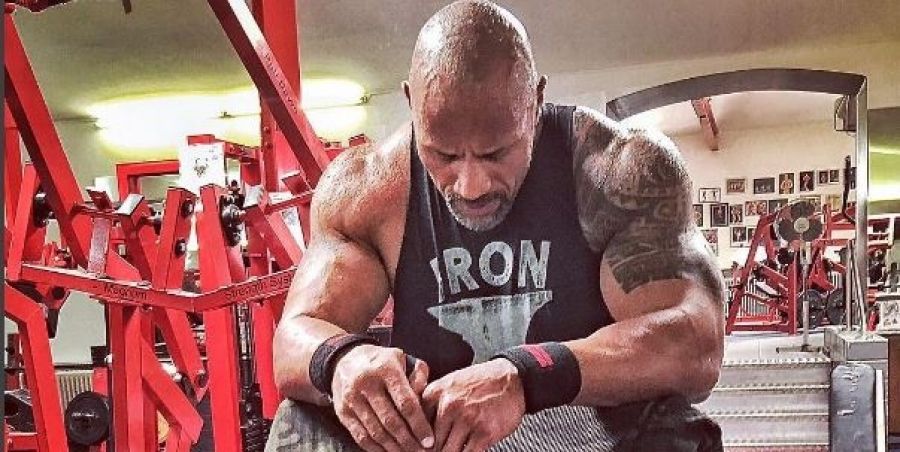 Dwayne store johnson bodybuilding