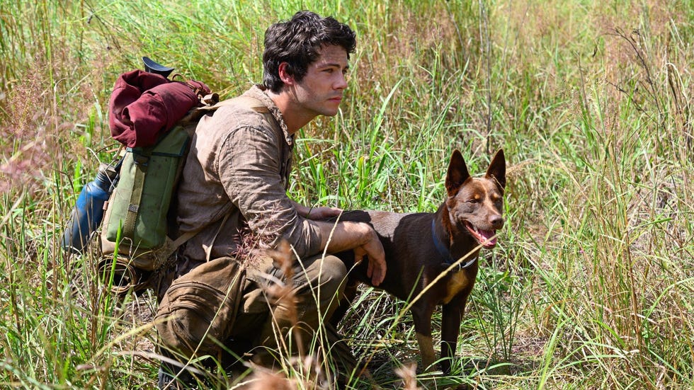 el protagonista de amor y monstruos con su perro