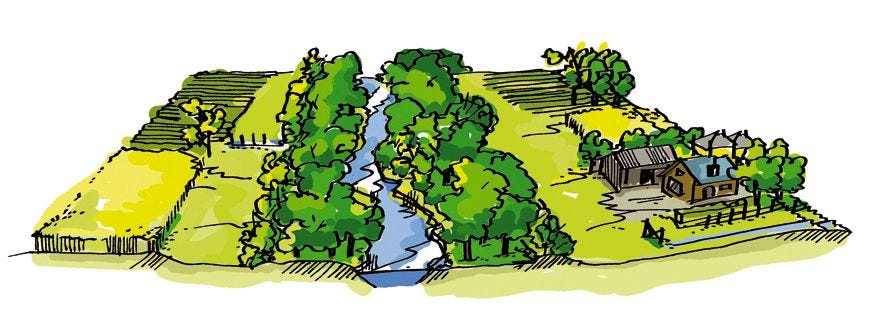 HET BREDE BEEKDAL Zoetwaterecoloog Piet Verdonschot introduceerde het brede beekdal De beek 1 wordt ondieper en smaller het omliggende dal dient als waterbergingsgebied bossen en bosschages 2 3 houden water langer vast en bieden schaduw zodat het water minder snel opwarmt en de waterkwaliteit toeneemt de bufferzone 4 filtert sediment en andere stoffen uit de beekflank 5 waar bebouwing en landbouw mogelijk zijn