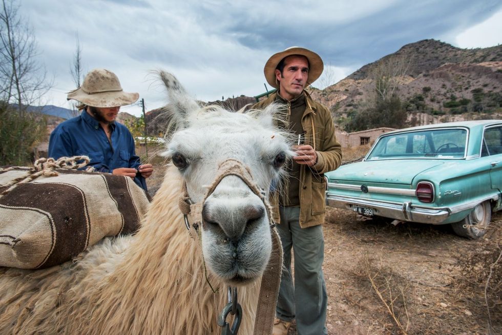 Santos Manfredi rechts en Ivan Granieri maken zich op voor een wandelexcursie met lamas nabij Ticara met rechts hun Ford Falcon