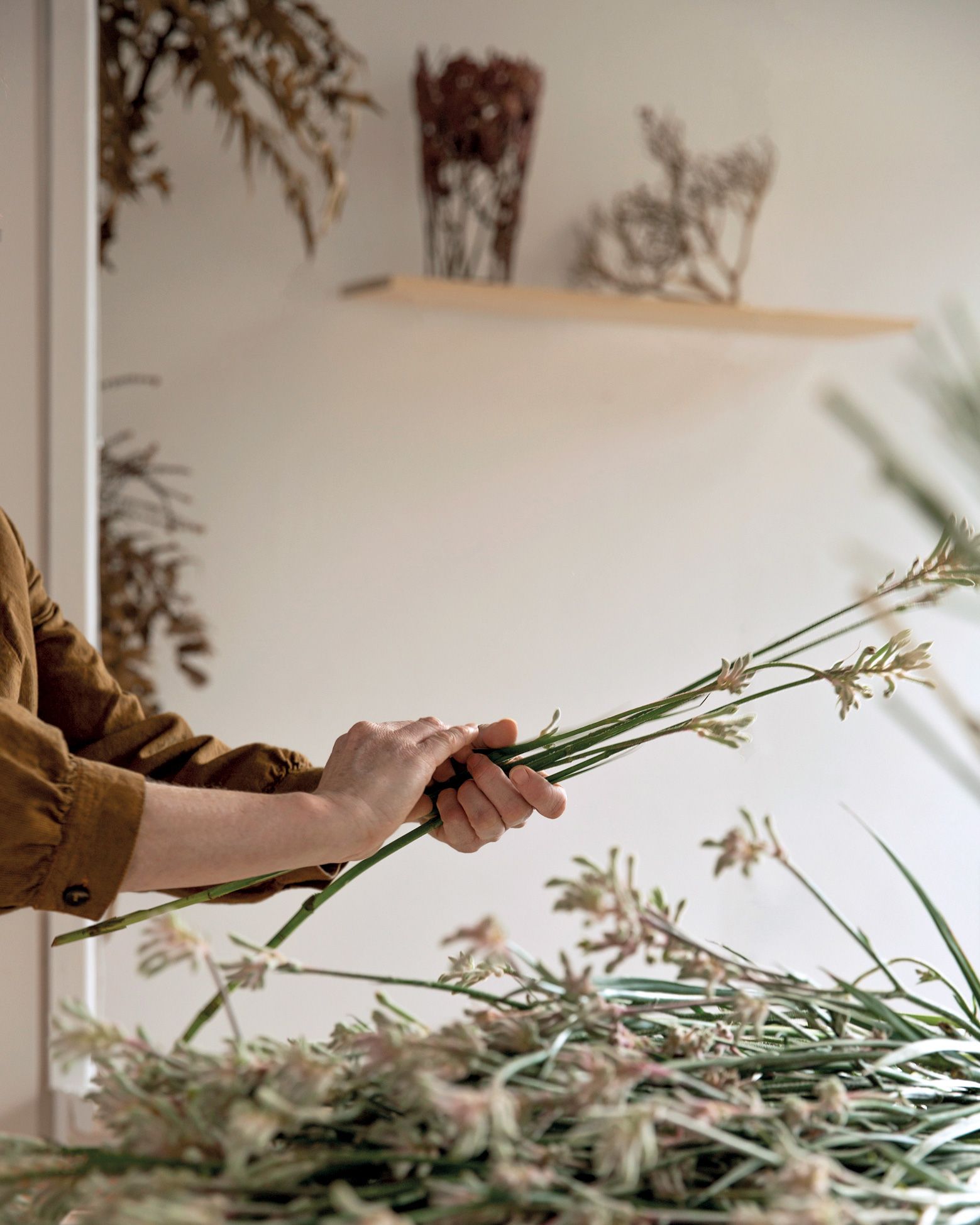 アートな「立体押し花」を制作するデザイナー、シャノン