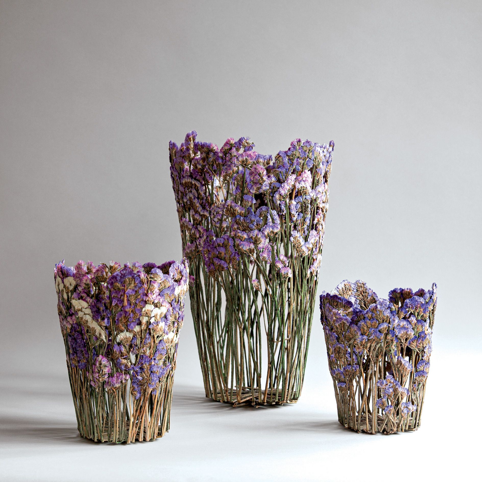 アートな「立体押し花」を制作するデザイナー、シャノン・クレッグ
