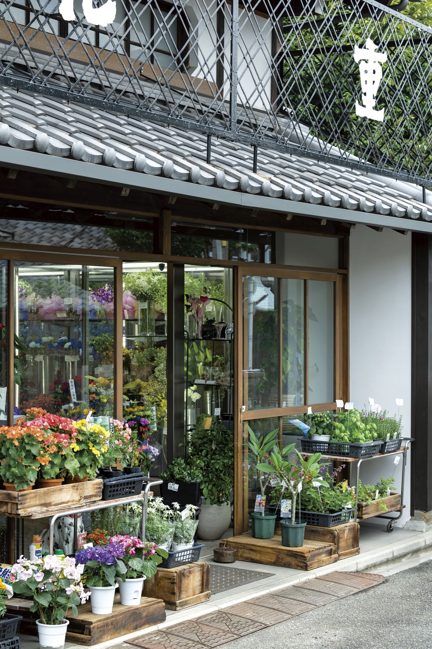 いま訪れたいフラワー＆グリーンショップ【2024年最新の花屋