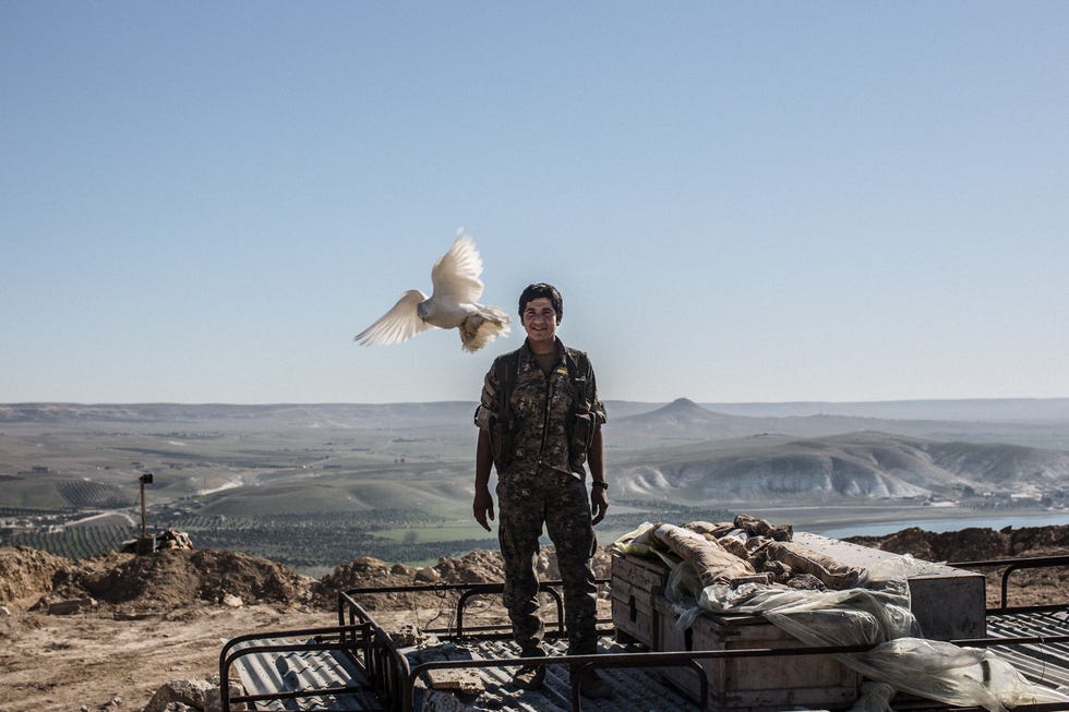 Delsher een strijder van de Volksbeschermingseenheden Koerdisch Yekneyn Parastina Gel YPG laat een duif los op een YPG positie bij de Tishrindam in Syri op 17 februari 2016