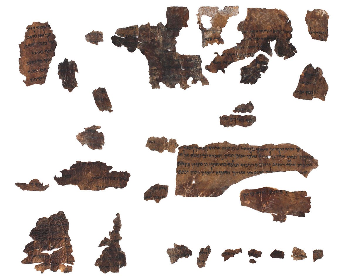 Onderzoekers hebben dierlijk DNA uit tweeduizend jaar oude fragmenten gehaald waaronder dit fragment uit het boek Jesaja van de Hebreeuwse Bijbel