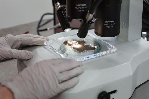 De onderzoekers analyseerden het oppervlak van alle zestien fragmenten onder de microscoop waarbij ze uiterst voorzichtig te werk gingen om de fragiele en broze stukjes leer niet te beschadigen