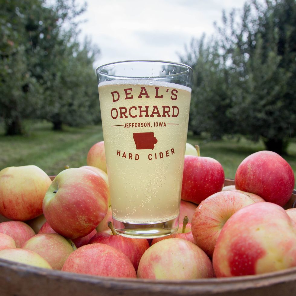 glass of cider sitting on basket of apples in an orchard