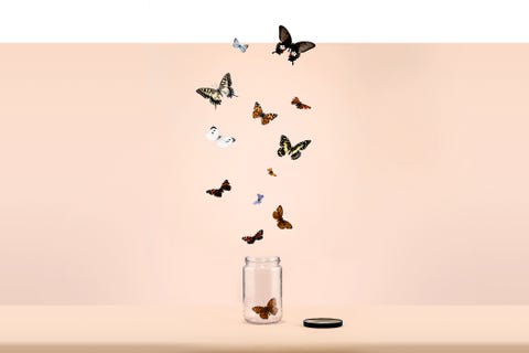 butterflies escaping from jar