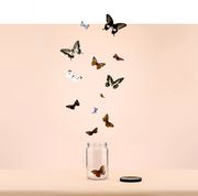 butterflies escaping from jar