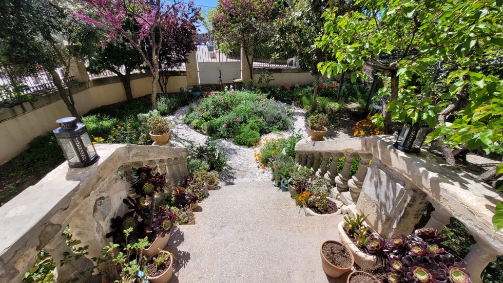 debora robertson gardens