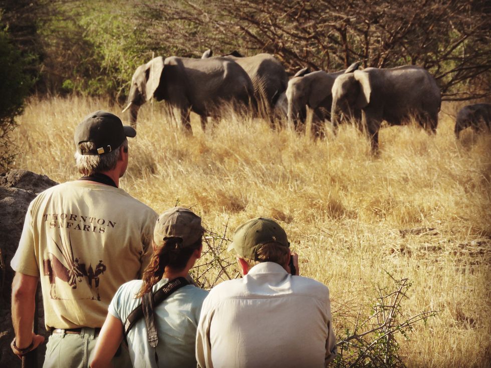 Travelers on the Great Serengeti Traverse 