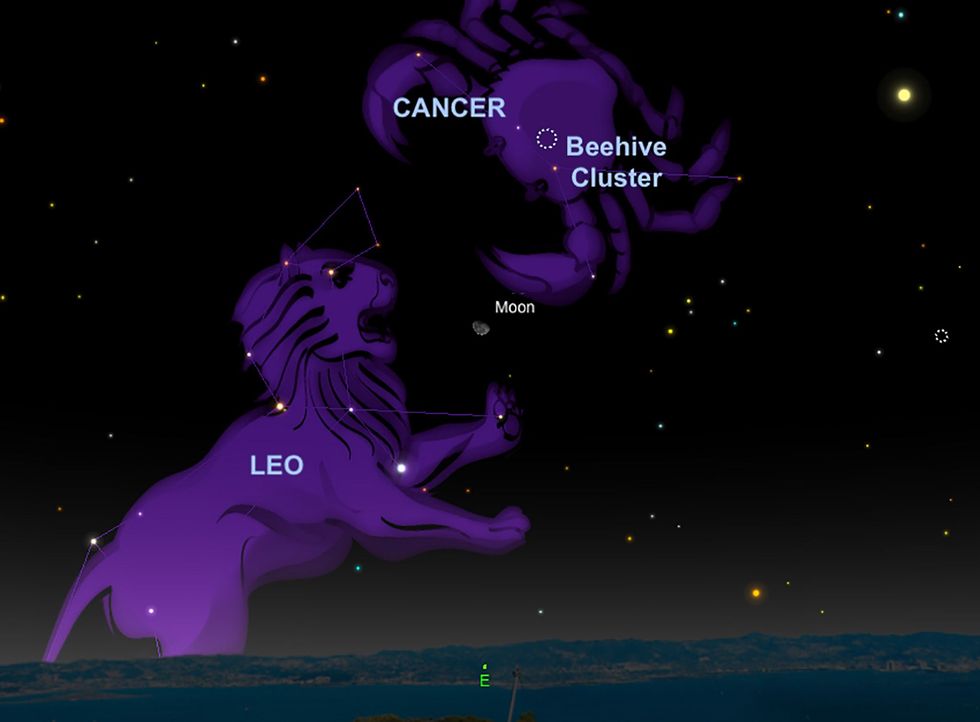 Look for the faint Beehive cluster in the constellation Cancer the crab on December 7