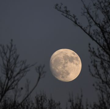 Decembers full moon is known as the Cold Moon