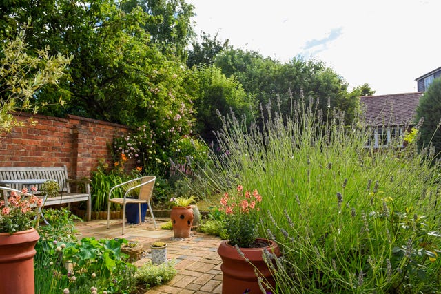 domestic back garden or yard with flower beds and grass lawn and pot plants