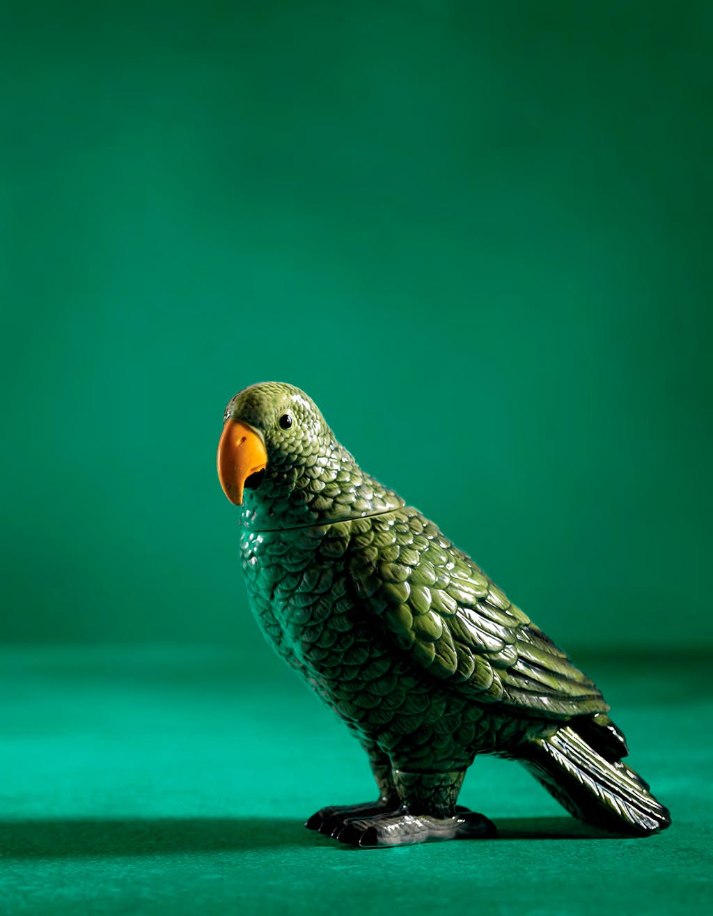 Bird, Vertebrate, Green, Beak, Parrot, Budgie, Parakeet, Adaptation, Falconiformes, Wildlife, 