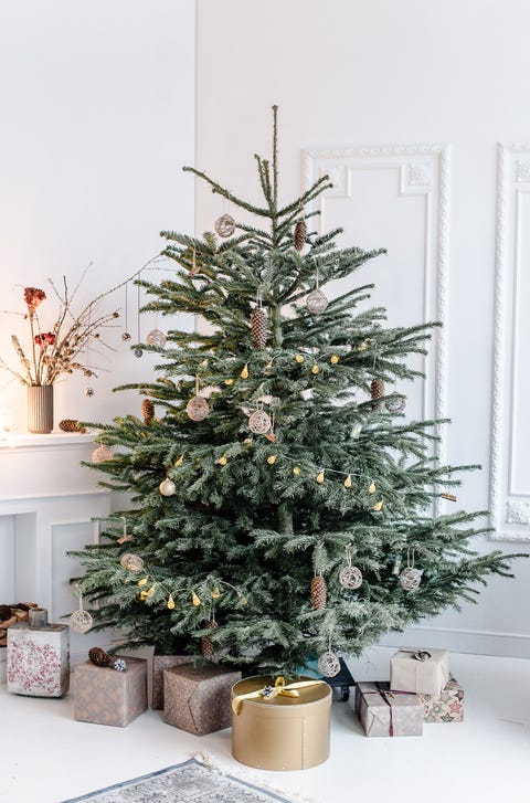 30+ Sophisticated Christmas Tree Themes to Try This Year