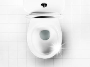 deep clean toilet