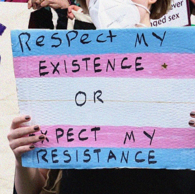 Respect My Existence Or Expect My Resistance Protest T-Shirt Respect My Existence Or Expect My Resistance Protest T-Shirt