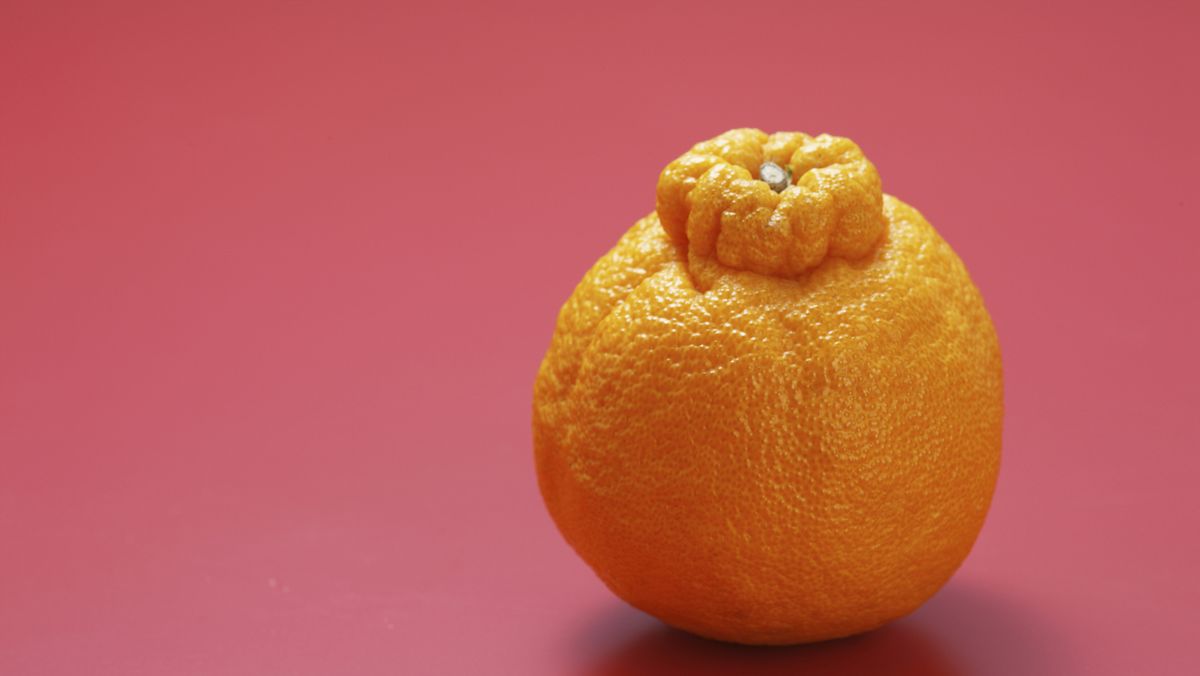 Why Sumo Mandarins Are So Expensive—and Yet I Can't Stop Buying Them