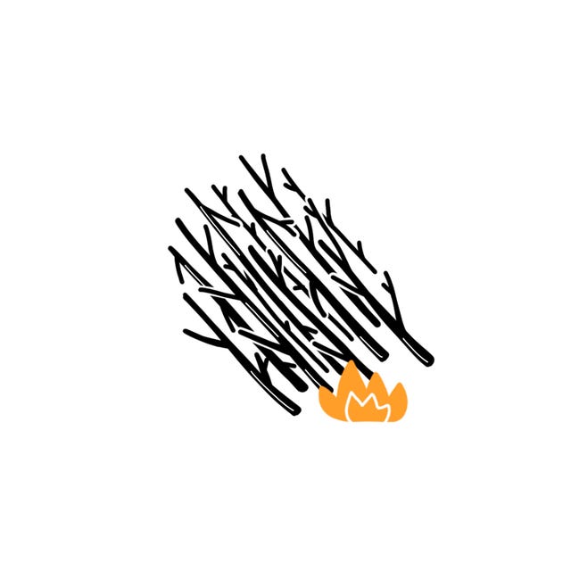 twigs