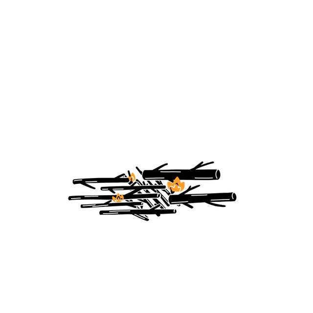branches