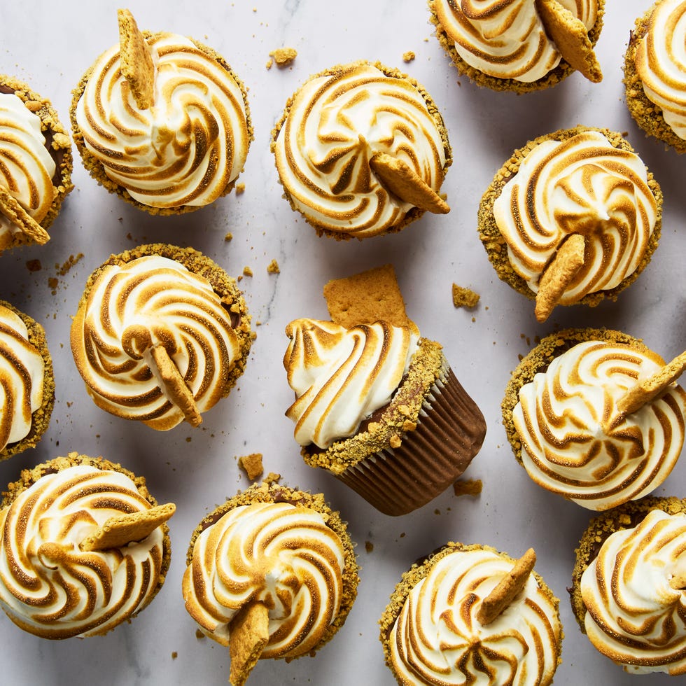 chocolate cupcakes coated in melted chocolate, graham cracker crumbs, toasted meringue frosting, and a graham cracker square