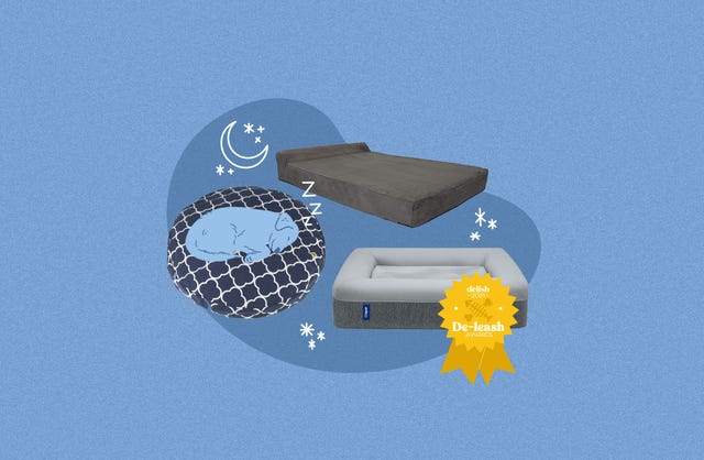 dog beds