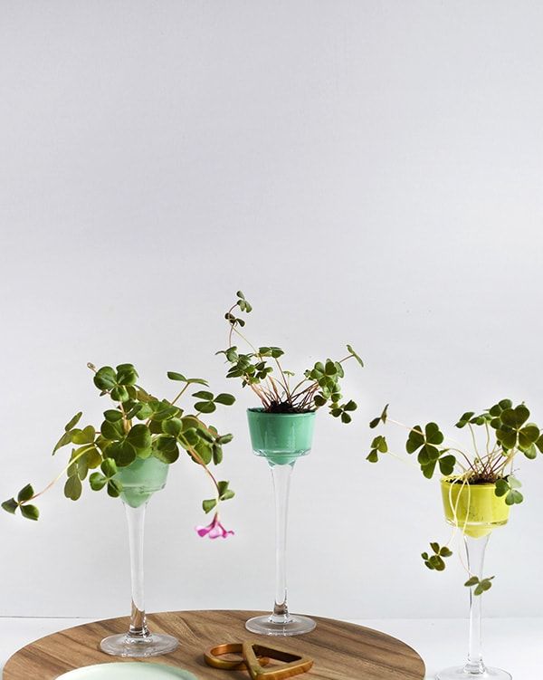 There are three planters made of tall glass candle holders, each with a cup painted a different shade of green and a clover inside.