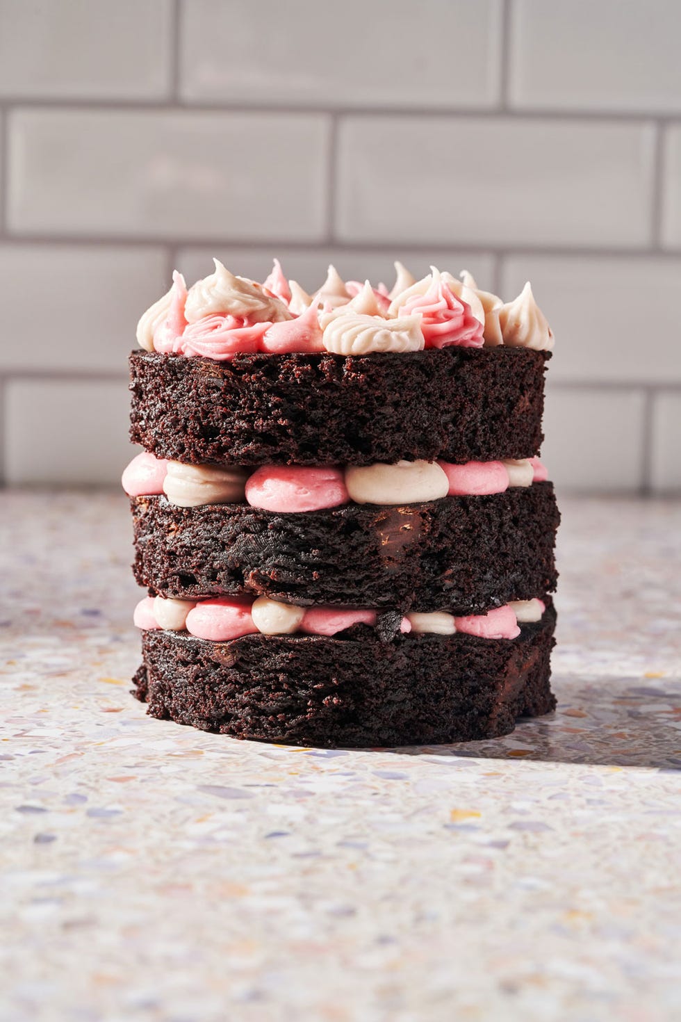 mini chocolate raspberry cake
