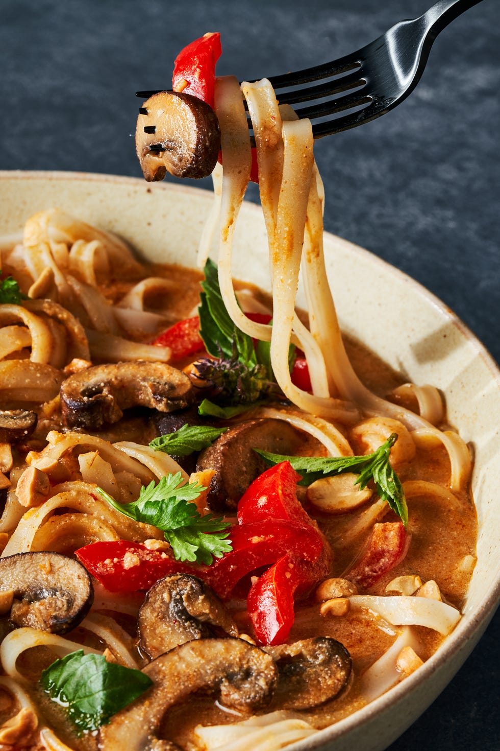 thai peanut noodle soup