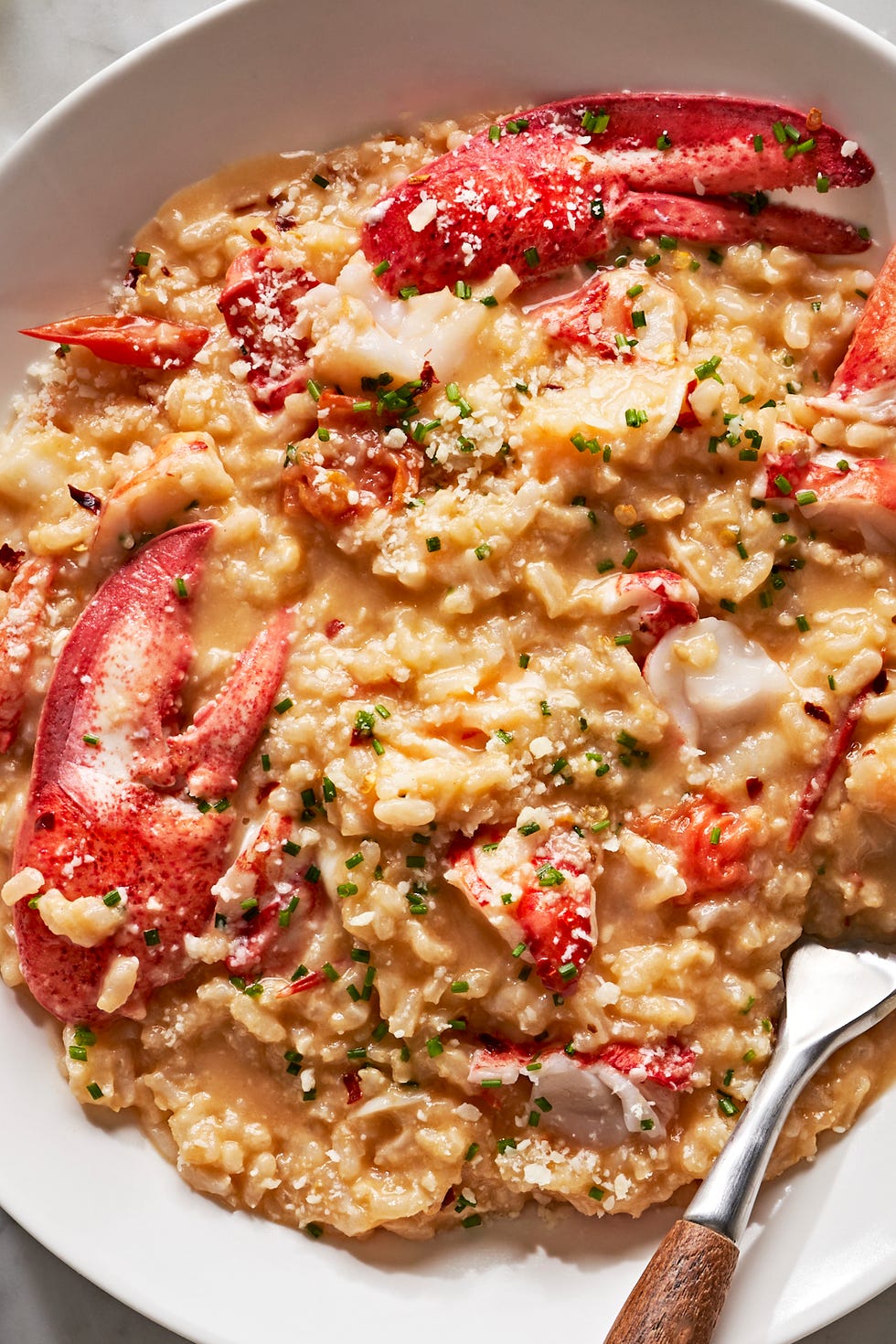 lobster risotto