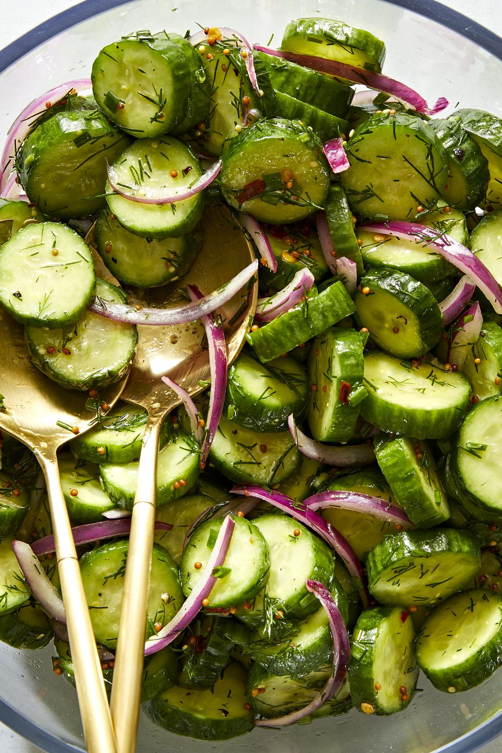 a salad bowl filled with sliced cucumber rounds and thinly sliced raw red onion tossed in a dressing made with whole mustard seeds and chopped fresh dill and chives