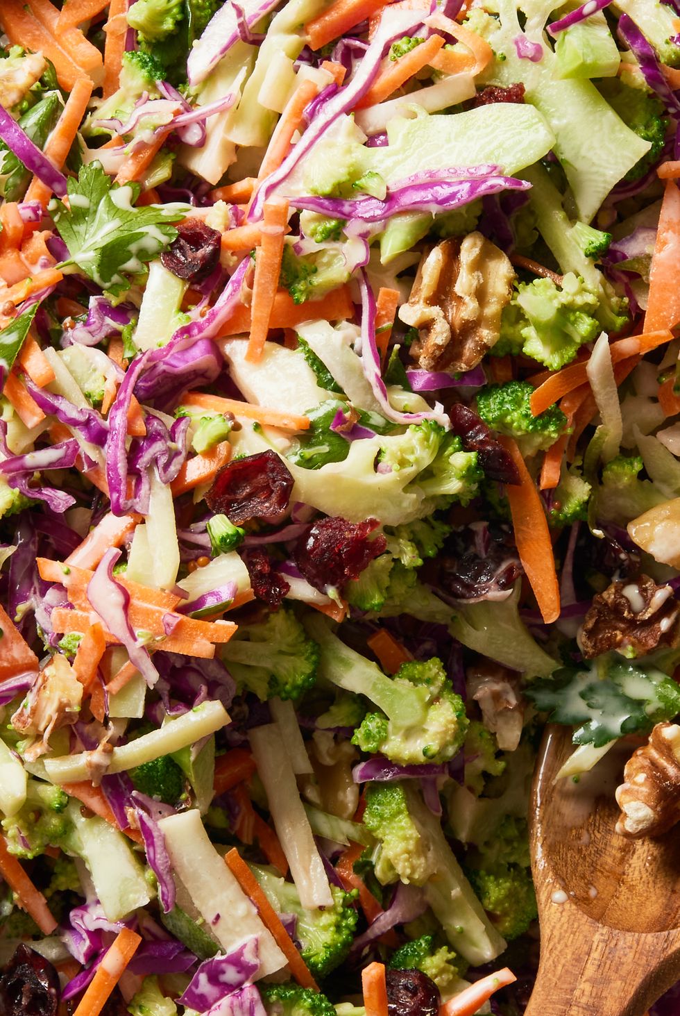 broccoli slaw with cabbage, carrots, scallions, toasted walnuts, dried cranberries, and maple dijon dressing