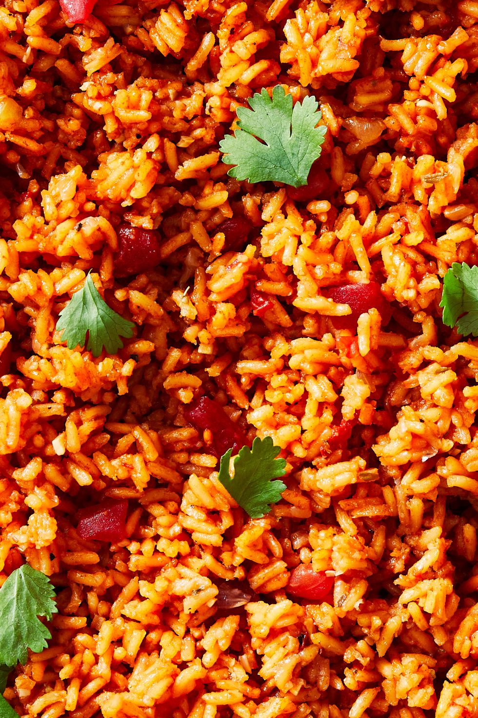 spanish rice garnished with cilantro leaves