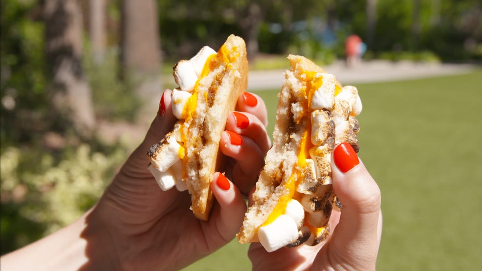 Food, Dish, Cuisine, Fast food, Ingredient, Finger food, Vegetarian food, Junk food, Snack, Gyro, 